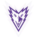 brno ravens